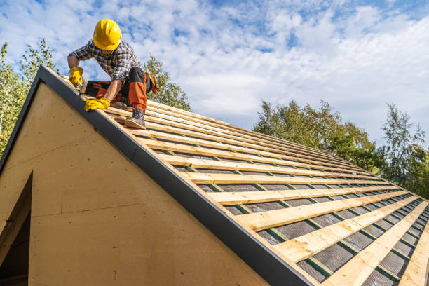 Roof Gutter Cleaning in Brundidge, AL