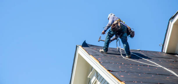 Quick and Trustworthy Emergency Roof Repair Services in Brundidge, AL